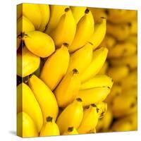 Bunch of Ripe Bananas Background-mazzzur-Stretched Canvas