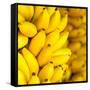 Bunch of Ripe Bananas Background-mazzzur-Framed Stretched Canvas