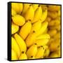 Bunch of Ripe Bananas Background-mazzzur-Framed Stretched Canvas