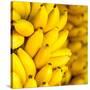 Bunch of Ripe Bananas Background-mazzzur-Stretched Canvas