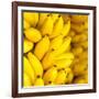 Bunch of Ripe Bananas Background-mazzzur-Framed Photographic Print