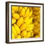 Bunch of Ripe Bananas Background-mazzzur-Framed Photographic Print