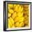 Bunch of Ripe Bananas Background-mazzzur-Framed Photographic Print