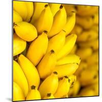 Bunch of Ripe Bananas Background-mazzzur-Mounted Photographic Print
