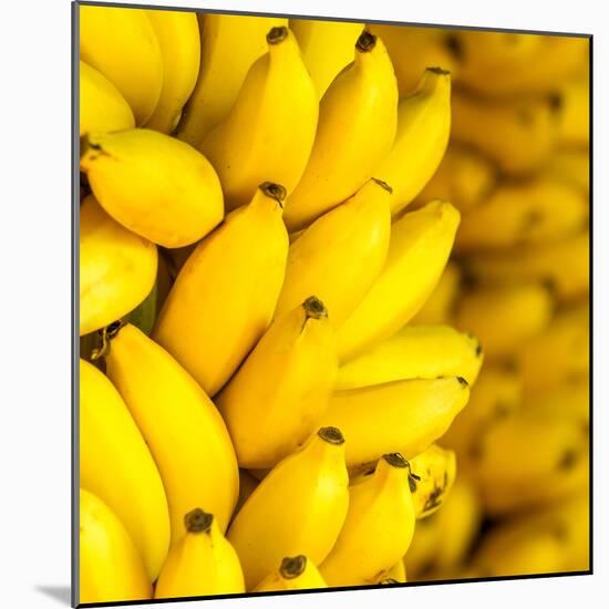 Bunch of Ripe Bananas Background-mazzzur-Mounted Photographic Print