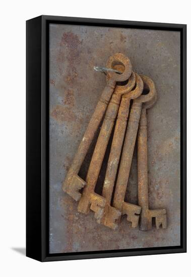 Bunch of Rusty Old Deadlock Keys Held Together by Wire Lying On Rusty Metal Sheet-Den Reader-Framed Stretched Canvas