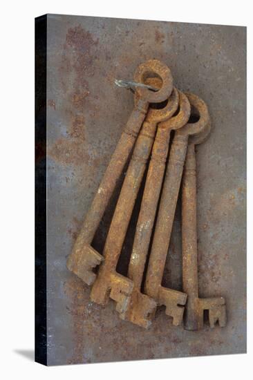 Bunch of Rusty Old Deadlock Keys Held Together by Wire Lying On Rusty Metal Sheet-Den Reader-Stretched Canvas