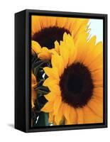 Bunch of Sunflowers-null-Framed Stretched Canvas