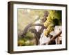 Bunch of White Grapes in the Vineyard-Antonio Gravante-Framed Photographic Print