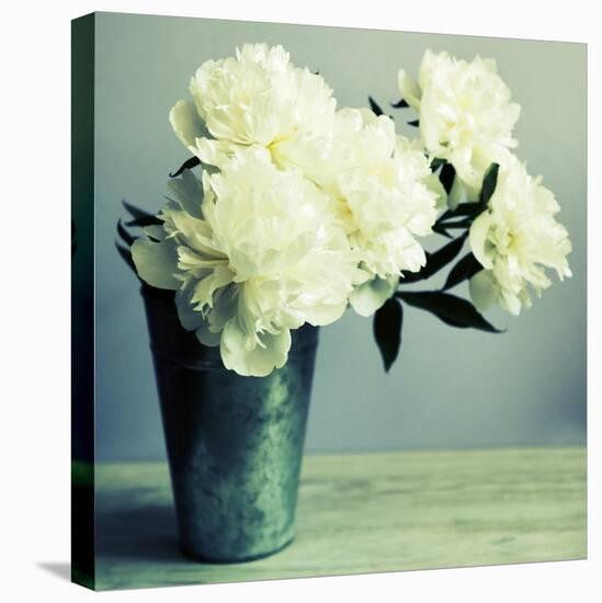 Bunch of White Peonies in Vase-Tom Quartermaine-Stretched Canvas