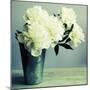 Bunch of White Peonies in Vase-Tom Quartermaine-Mounted Giclee Print