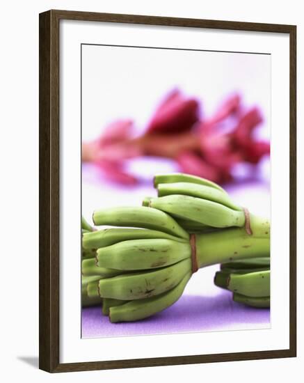 Bunch of Young Bananas-Armin Zogbaum-Framed Photographic Print