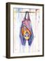 Buncha Bats-Marc Allante-Framed Giclee Print