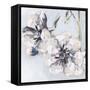 Bunched Flowers II-Heather A. French-Roussia-Framed Stretched Canvas