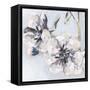 Bunched Flowers II-Heather A. French-Roussia-Framed Stretched Canvas