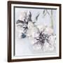 Bunched Flowers II-Heather A. French-Roussia-Framed Art Print