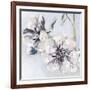 Bunched Flowers II-Heather A. French-Roussia-Framed Art Print