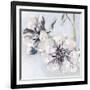 Bunched Flowers II-Heather A. French-Roussia-Framed Art Print