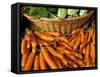 Bunches of Carrots and Lettuce, Ferry Building Farmer's Market, San Francisco, California, USA-Inger Hogstrom-Framed Stretched Canvas