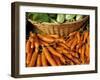 Bunches of Carrots and Lettuce, Ferry Building Farmer's Market, San Francisco, California, USA-Inger Hogstrom-Framed Photographic Print