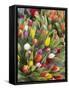 Bunches of colorful tulips-Markus Altmann-Framed Stretched Canvas