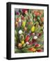 Bunches of colorful tulips-Markus Altmann-Framed Photographic Print