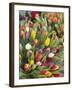 Bunches of colorful tulips-Markus Altmann-Framed Photographic Print