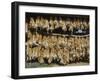 Bunches of Garlic Hanging in a Barn, Britanny, France-Robert Harding-Framed Photographic Print