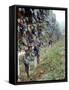 Bunches of Grapes Growing in a Vineyard, Barbaresco Docg, Piedmont, Italy-null-Framed Stretched Canvas