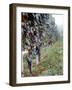 Bunches of Grapes Growing in a Vineyard, Barbaresco Docg, Piedmont, Italy-null-Framed Photographic Print