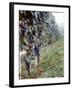 Bunches of Grapes Growing in a Vineyard, Barbaresco Docg, Piedmont, Italy-null-Framed Photographic Print