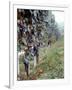 Bunches of Grapes Growing in a Vineyard, Barbaresco Docg, Piedmont, Italy-null-Framed Photographic Print