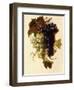 Bunches of Green and Red Grapes Suspended from a Rope, C.1796-Joseph-Laurent Malaine-Framed Premium Giclee Print