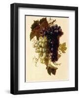 Bunches of Green and Red Grapes Suspended from a Rope, C.1796-Joseph-Laurent Malaine-Framed Premium Giclee Print