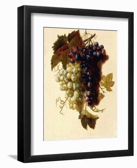 Bunches of Green and Red Grapes Suspended from a Rope, C.1796-Joseph-Laurent Malaine-Framed Premium Giclee Print