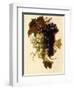 Bunches of Green and Red Grapes Suspended from a Rope, C.1796-Joseph-Laurent Malaine-Framed Premium Giclee Print