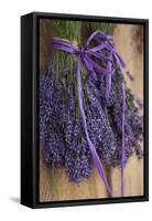 Bunches of Lavender Drying Shed at Lavender Festival, Sequim, Washington, USA-Merrill Images-Framed Stretched Canvas