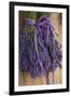 Bunches of Lavender Drying Shed at Lavender Festival, Sequim, Washington, USA-Merrill Images-Framed Premium Photographic Print