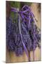 Bunches of Lavender Drying Shed at Lavender Festival, Sequim, Washington, USA-Merrill Images-Mounted Premium Photographic Print