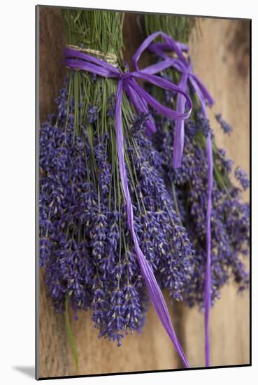 Bunches of Lavender Drying Shed at Lavender Festival, Sequim, Washington, USA-Merrill Images-Mounted Photographic Print