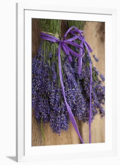 Bunches of Lavender Drying Shed at Lavender Festival, Sequim, Washington, USA-Merrill Images-Framed Photographic Print