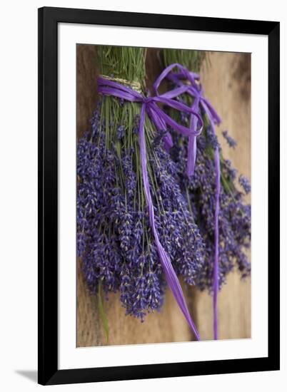 Bunches of Lavender Drying Shed at Lavender Festival, Sequim, Washington, USA-Merrill Images-Framed Photographic Print