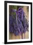 Bunches of Lavender Drying Shed at Lavender Festival, Sequim, Washington, USA-Merrill Images-Framed Photographic Print