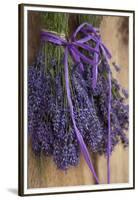 Bunches of Lavender Drying Shed at Lavender Festival, Sequim, Washington, USA-Merrill Images-Framed Premium Photographic Print