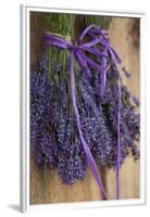 Bunches of Lavender Drying Shed at Lavender Festival, Sequim, Washington, USA-Merrill Images-Framed Premium Photographic Print