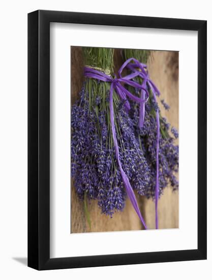 Bunches of Lavender Drying Shed at Lavender Festival, Sequim, Washington, USA-Merrill Images-Framed Photographic Print