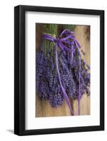 Bunches of Lavender Drying Shed at Lavender Festival, Sequim, Washington, USA-Merrill Images-Framed Photographic Print