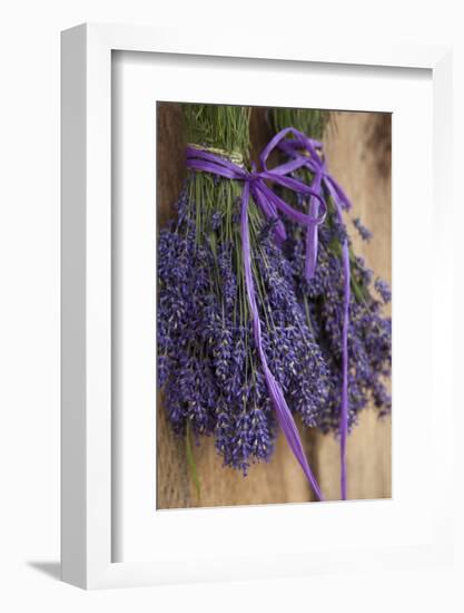 Bunches of Lavender Drying Shed at Lavender Festival, Sequim, Washington, USA-Merrill Images-Framed Photographic Print