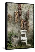 Bunches of Onions Drying Out on Brick Wall with Chair-Christina Wilson-Framed Stretched Canvas