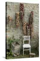 Bunches of Onions Drying Out on Brick Wall with Chair-Christina Wilson-Stretched Canvas